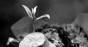 BillMcFarland_Keen_Leadership